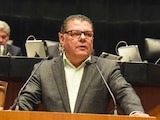El senador Virgilio Mendoza Amezcua, del Partido Verde.