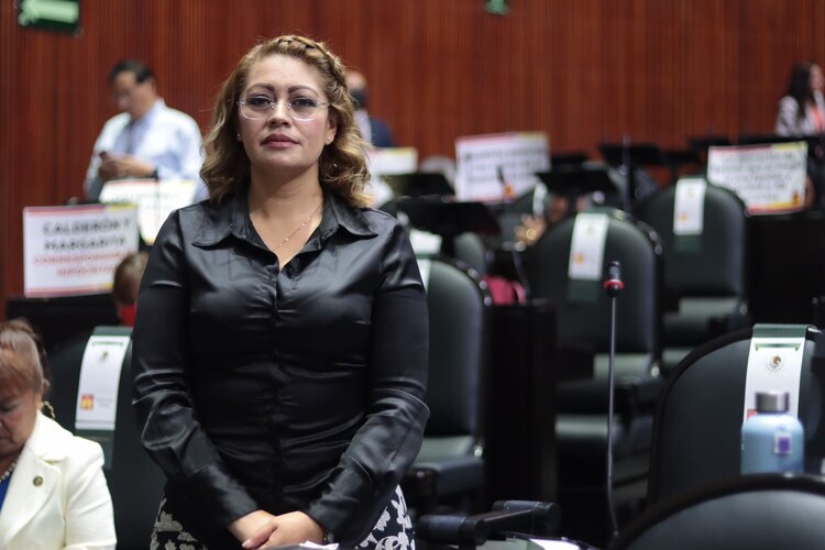 Diputada Ana Karina Rojo Pimentel