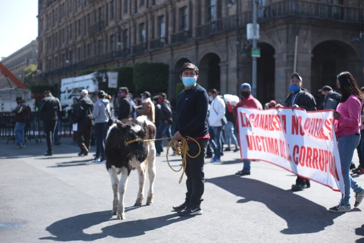 Ganaderos y apicultores de diferentes puntos del país se manifiestan en la CDMX, el 23 d noviembre de 2020.