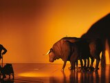 El toro es un elemento esencial de la puesta en escena.