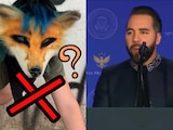 ¿Es real que Bukele prohibió los therians? Un video del presidente se hace viral
