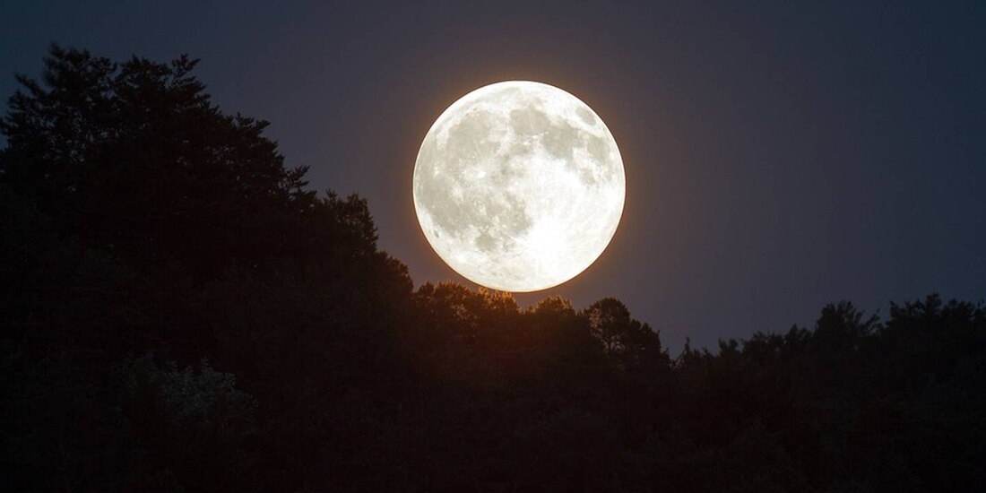 Luna Rosa podrá verse en México en abril