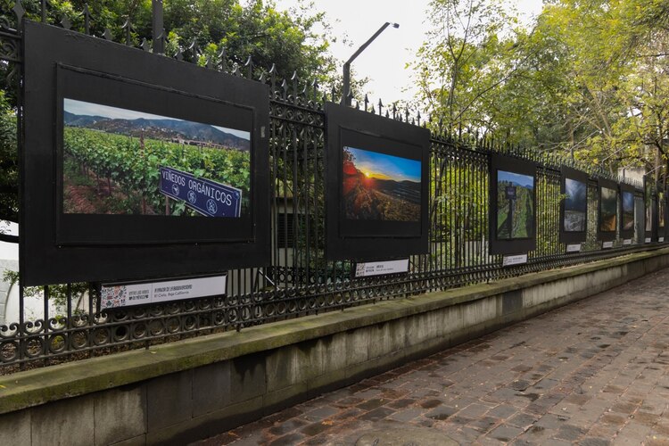 Entre las vides de México. Exposición fotográfica.