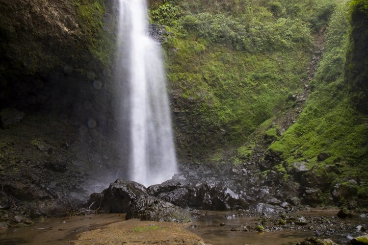 El Pasaporte Turístico facilita el acceso a las actividades culturales y recreativas en todo el estado.