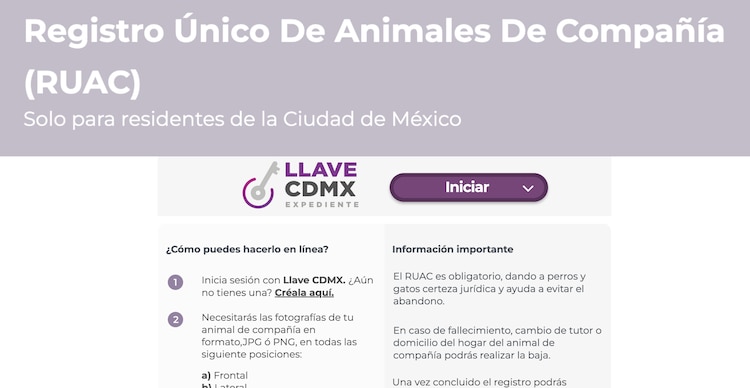 Plan de Bienestar Animal