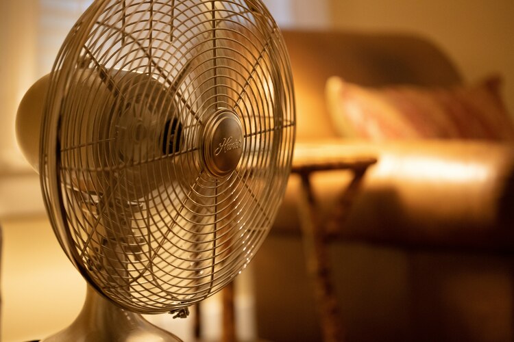 Los ventiladores de Profeco los recomiendan para estas altas temperaturas.