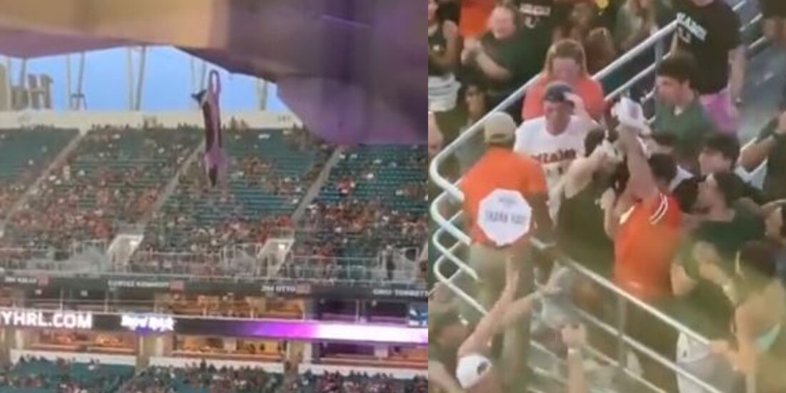 Un gatito cayó del techo del estadio de los Dolphins de Miami