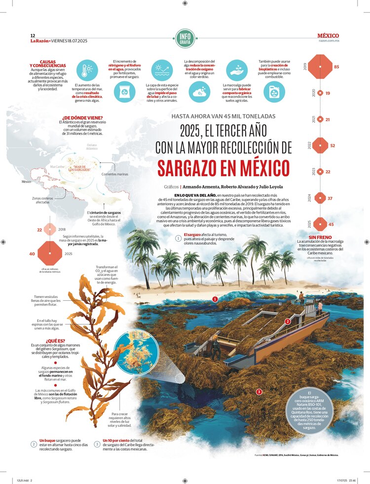 2025, el tercer año con la mayor recolección de sargazo en México