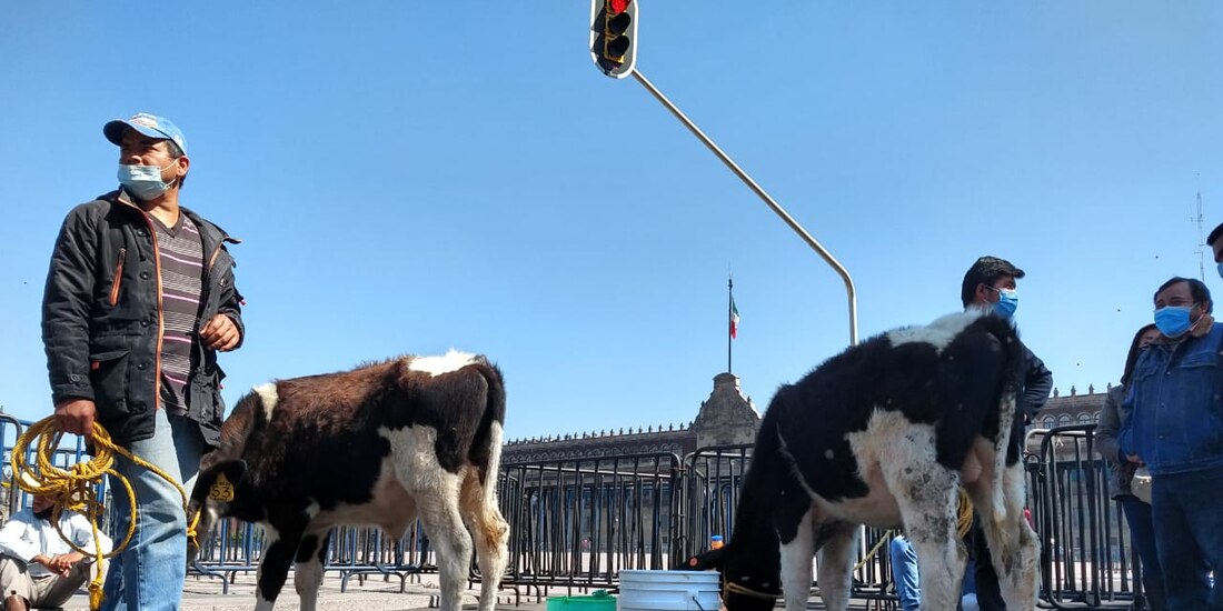 Ganaderos y apicultores de diferentes puntos del país se manifiestan en la CDMX, el 23 d noviembre de 2020.