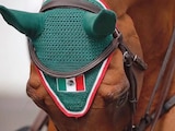 El ecuestre mexicano reveló sus equipos para los Juegos Centroamericanos y del Caribe, a celebrarse en Santo Domingo.