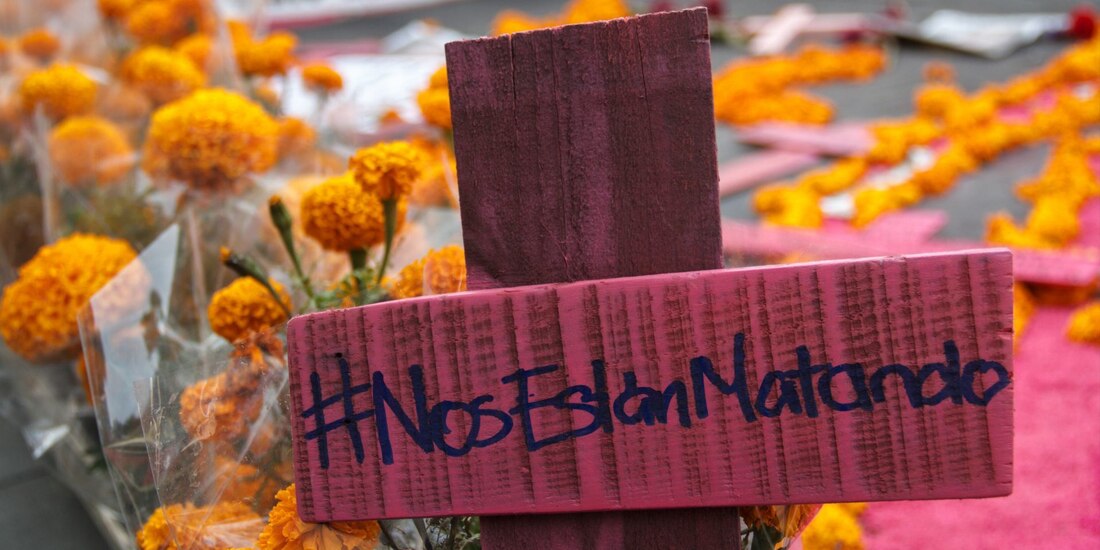 La Comisión Nacional para Prevenir y Erradicar la Violencia contra las Mujeres asegura que en muchos ocasiones las mujeres víctimas de feminicidio contaban con presencia de hijas e hijos.