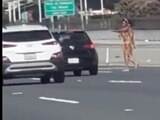 Una mujer desnuda dispara contra los automóviles en California