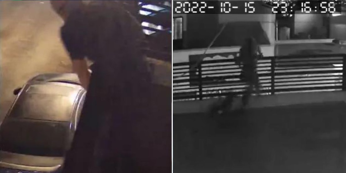 Perros frustran robo en casa de Saltillo, Coahuila; ladrón salta de la azotea (VIDEO).