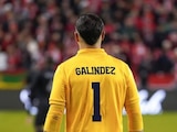 ¿Quién es Hernán Galíndez?