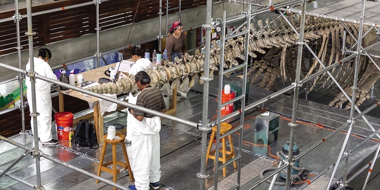Trabajadores ponían luminarias y restauradores limpiaban la Mátrix Móvil, ayer.