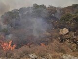 Un incendio forestal se registró en el paraje de Tepopote.