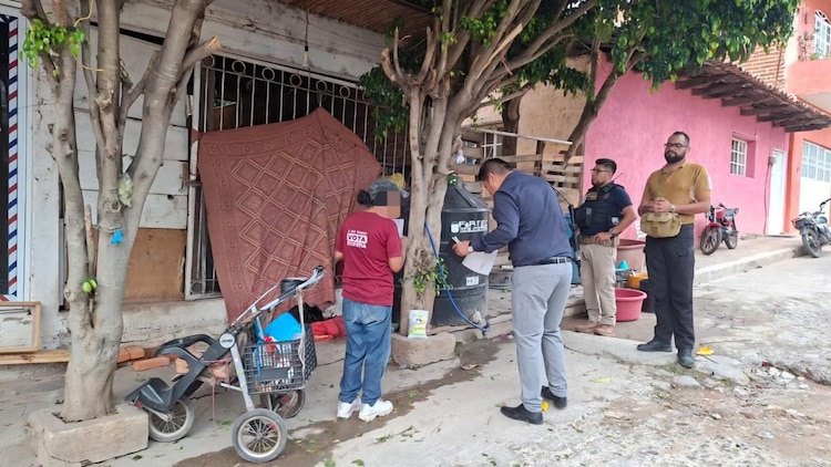 Rescatan 127 animales tras cateos en Marcos Castellanos, Michoacán.