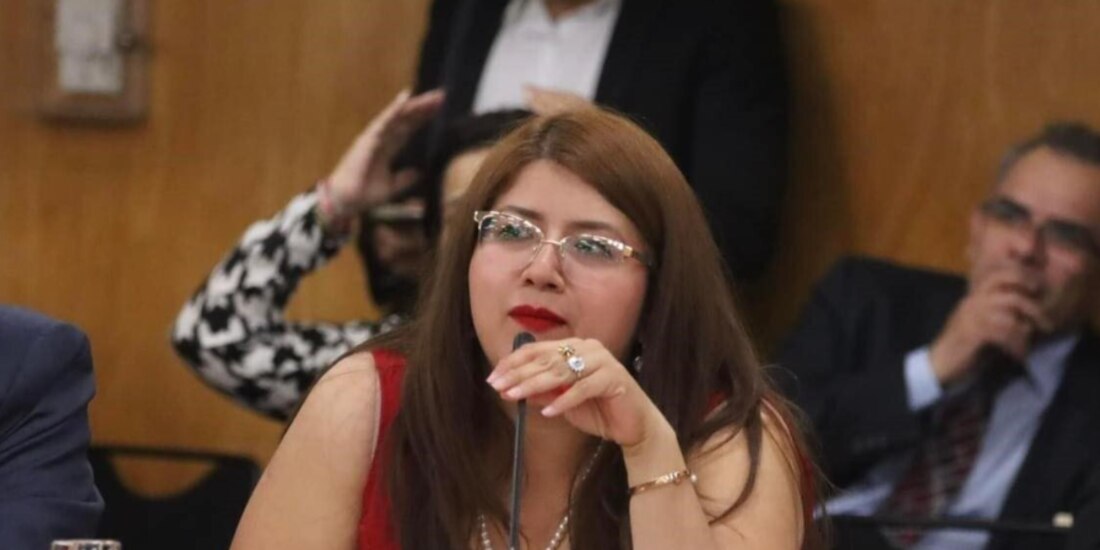 La diputada Morenista Miroslava Shember en foto de archivo del pasado 27 de marzo.