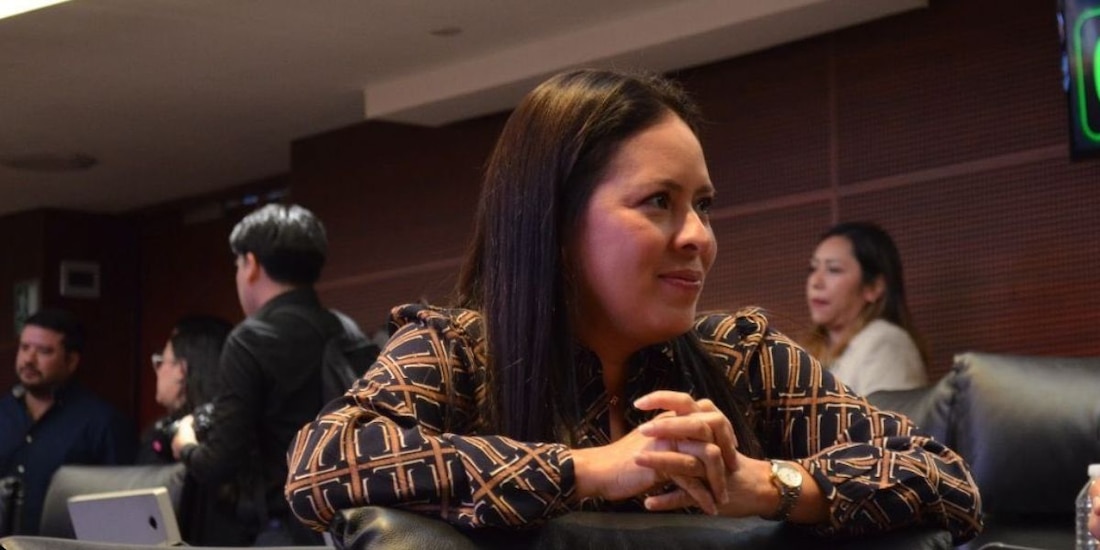 Karen Castrejón presidenta nacional del Partido Verde Ecologista de México