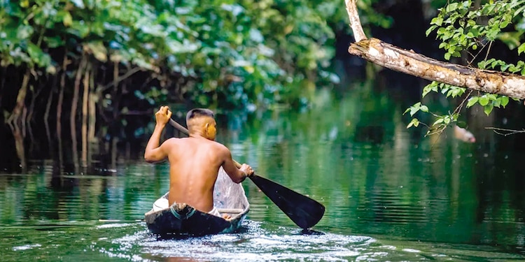 Gran mal. Joca Reiners Terron