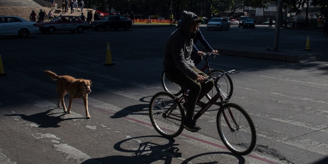 Paseo Dominical: esta será la ruta para este domingo 1 de mayo