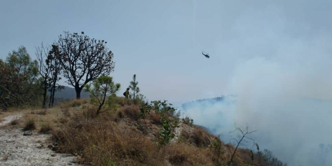 Combaten fuerte incendio forestal en Jalisco.