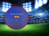Vix presenta fallas