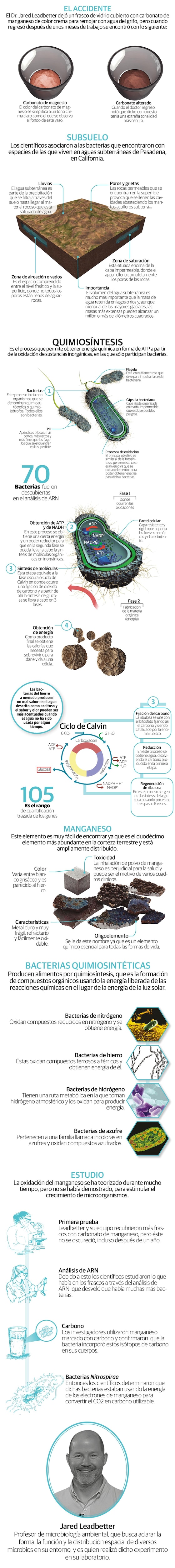 Descubren accidentalmente primeras bacterias que comen metal