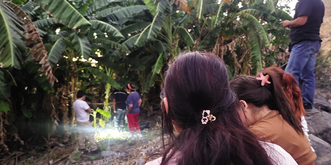 TRABAJO de campo de las activistas de Jalisco, el 15 de marzo.