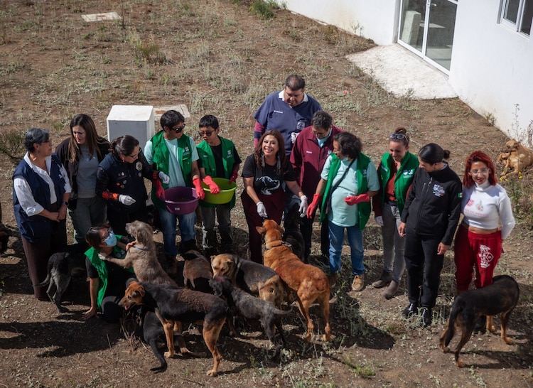 CIUDAD DE MÉXICO, 08ENERO2026.- Clara Brugada, jefa de gobierno de la Ciudad de México, realiza recorrido por el albergue de la Ciudad ubicado en el Ajusco en el cual fueron llevados en resguardo 400 perros rescatados del albergue franciscano