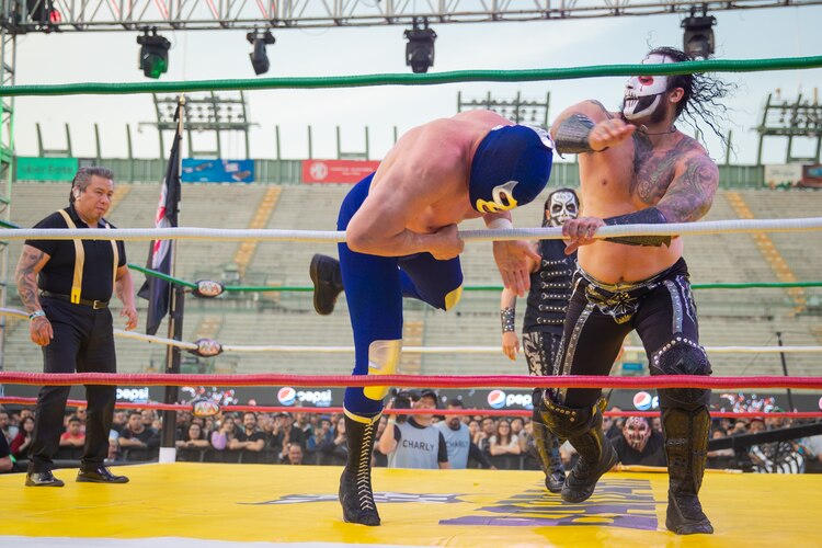 Lucha libre