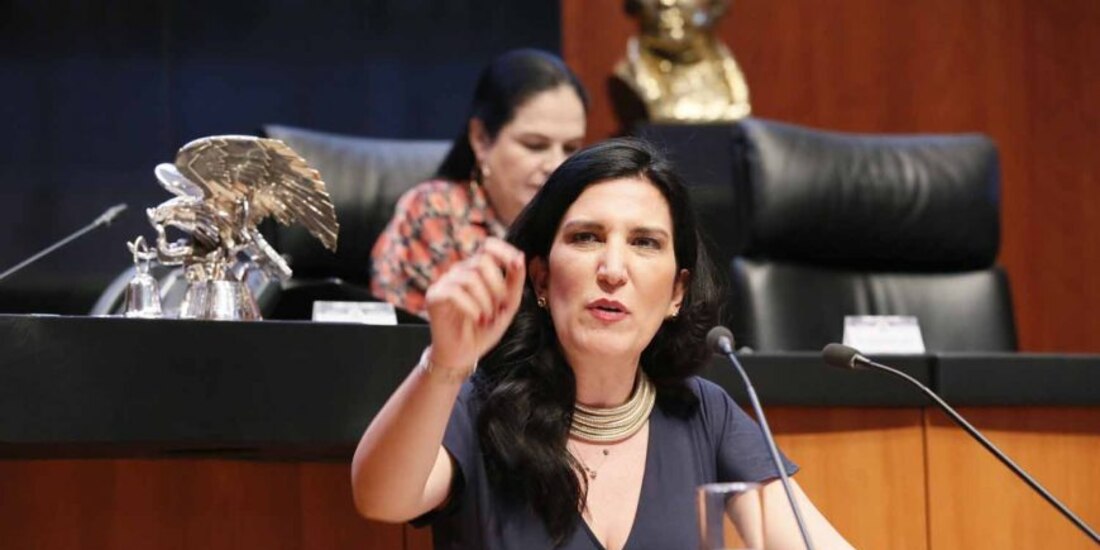 Kenia López Rabadán dijo que hay falta de capacitación y desorden administrativo.