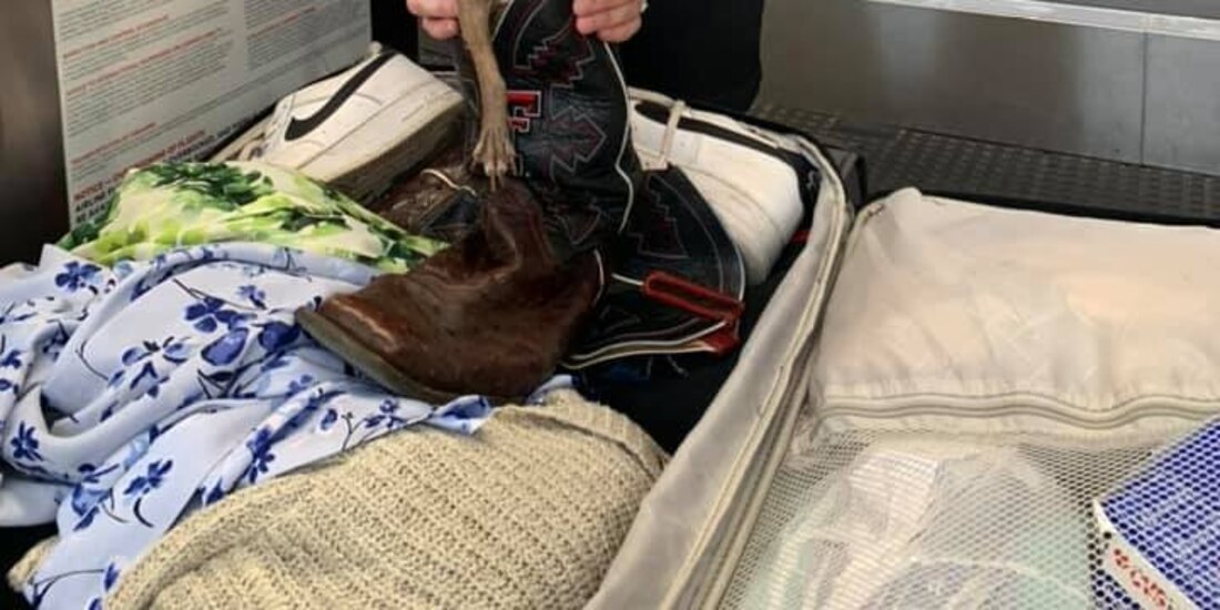 La perrita no pudo viajar con sus dueños y se quedó al cuidado de familiares.