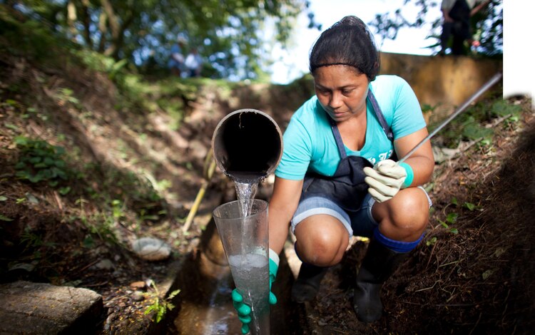 Trabajadora en una finca bananera en Carolina del Norte, Estados Unidos.