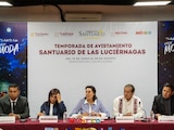 Temporada de avistamiento Santuario de las Luciérnagas en Tlaxcala.