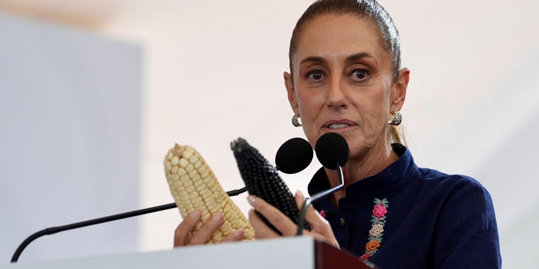 La Presidenta Claudia Sheinbaum Pardo encabezó la entrega de kits del Plan Nacional de Maíz Nativo “El Maíz es la Raíz”