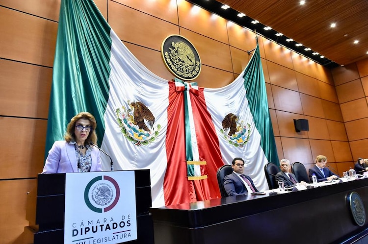 María Elena Pérez-Jaén denuncia omisiones en el caso Colmenares.