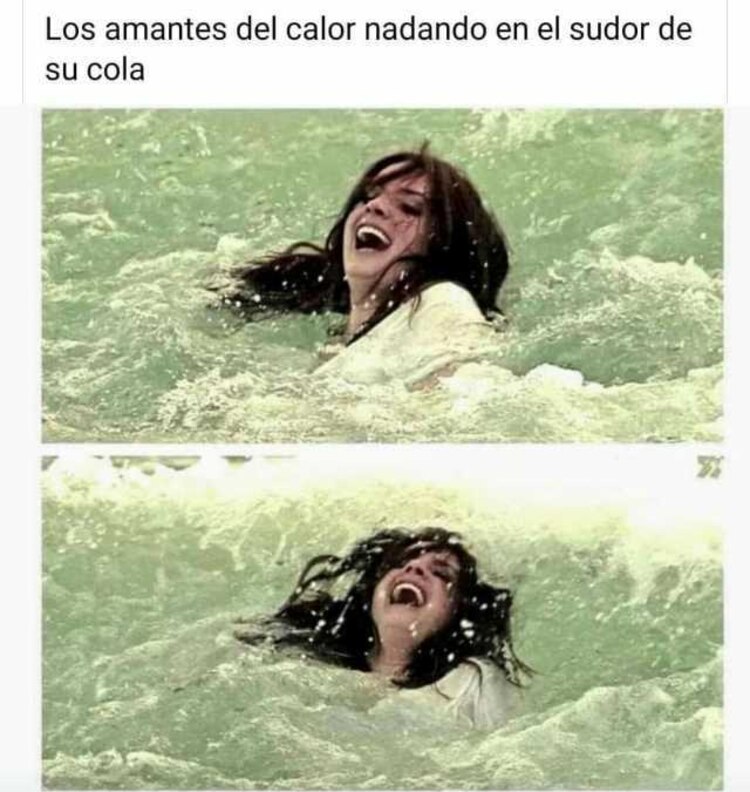 Memes ola de calor.