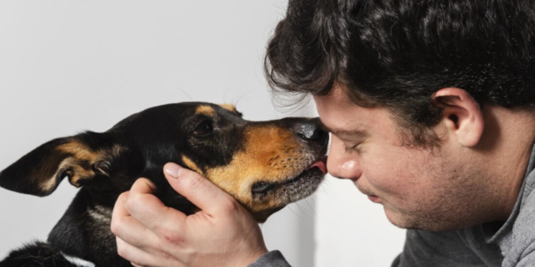 El servicio de acupuntura lo brindan en la sucursal Pet & Vet ubicada en Insurgentes Sur 4177, Santa Úrsula Xitla, Tlalpan, Ciudad de México. Se requiere agendar cita.