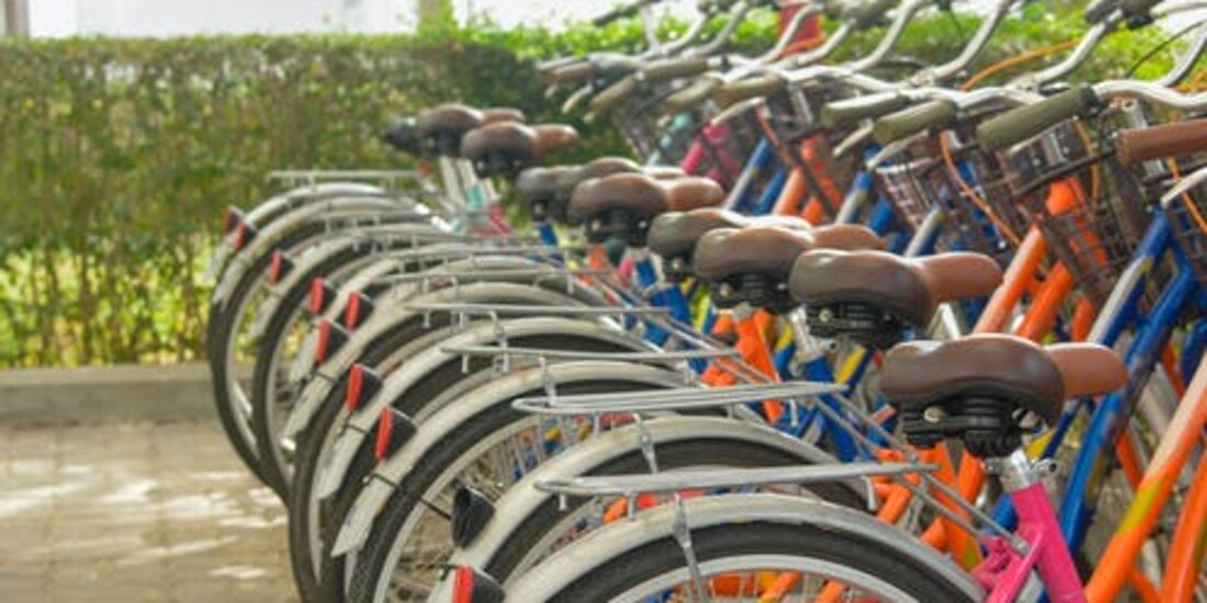 La Asamblea General de las Naciones Unidas declaró el 3 de junio como el Día Mundial de la Bicicleta