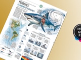 Tiburones cazadores de huracanes