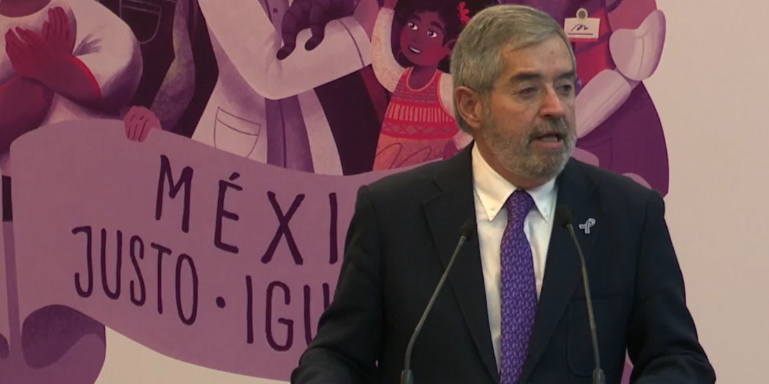 Juan Ramón de la Fuente, titular de la Secretaría de Relaciones Exteriores.