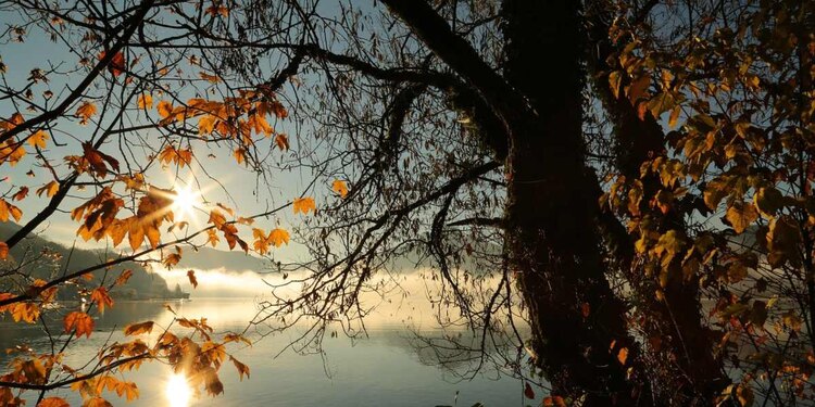 Las frases para recibir el mes de octubre pueden ayudar a mantener una moral alta.