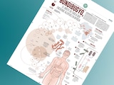 Bundibugyo, el brote de ébola que enciende alertas en África