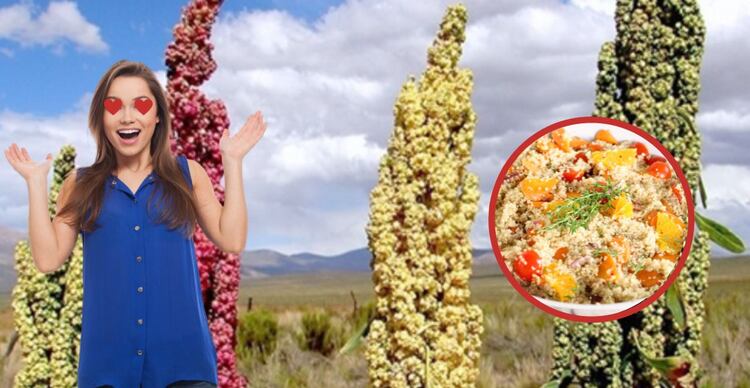La quinoa es un alimento que contiene fibra, minerales, vitaminas, hierro y proteína.