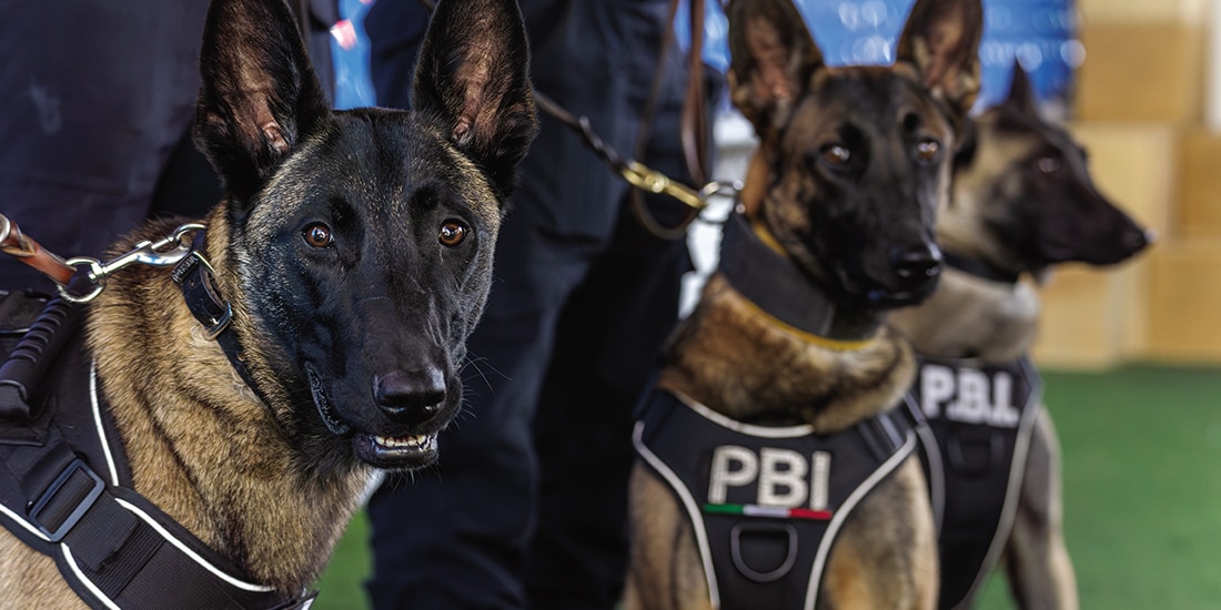 Las nuevas integrantes de la unidad de la PBI, el jueves.