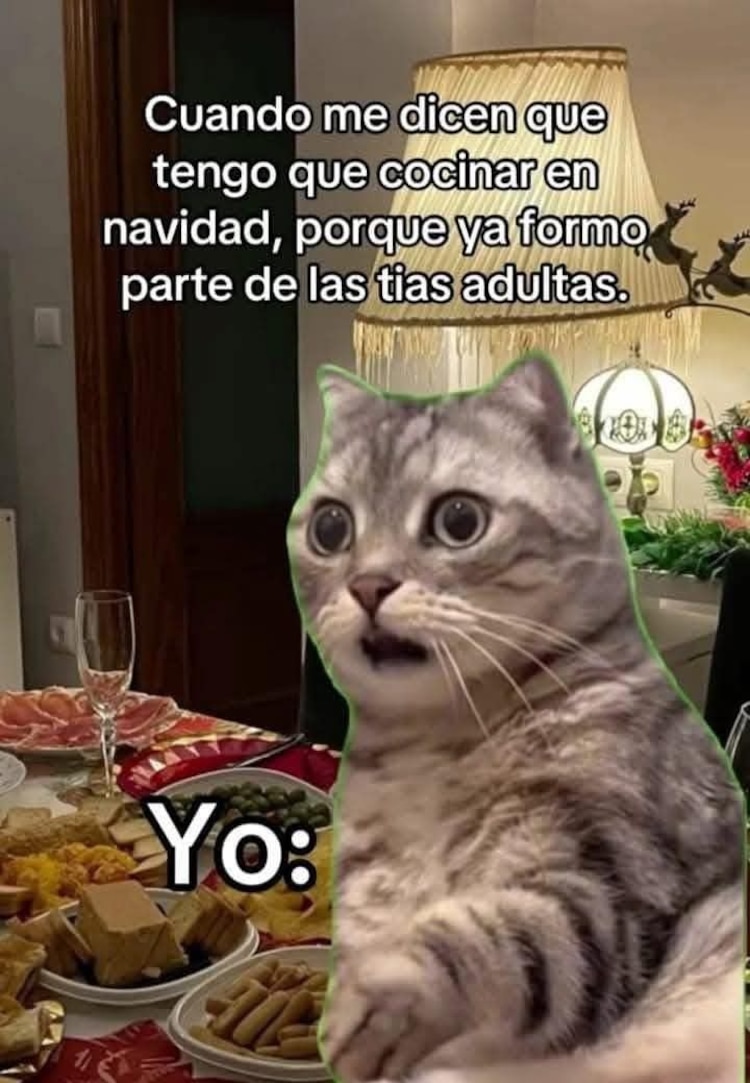 Imagenes divertidas de Navidad para el chat familiar de WhatsApp