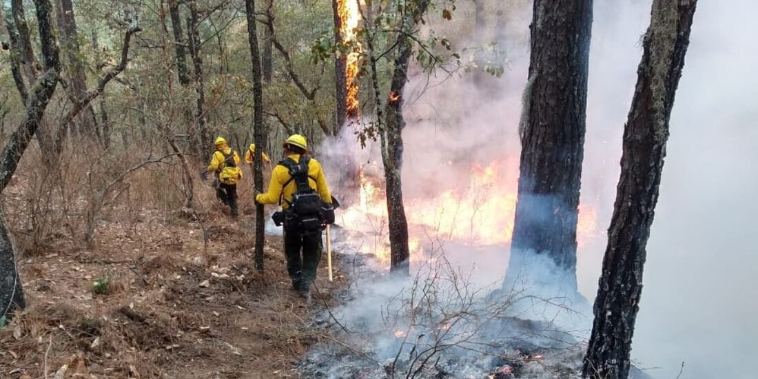 Combatientes realizan labores para controlar y sofocar el incendio forestal registrado en el área natural protegida Cumbres de Monterrey, en Nuevo León. 