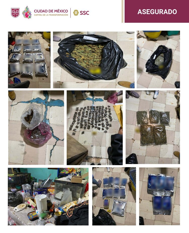 Aseguran droga y fauna protegida tras cateo en GAM.