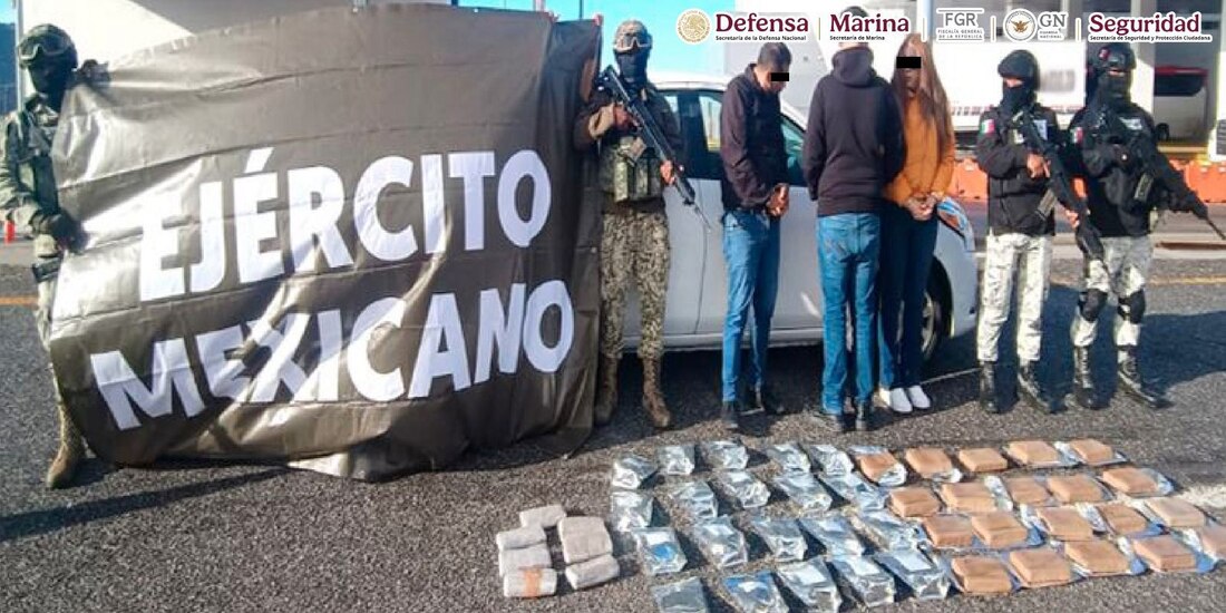 Elementos del Gabinete federal de Seguridad decomisan droga en Baja California.